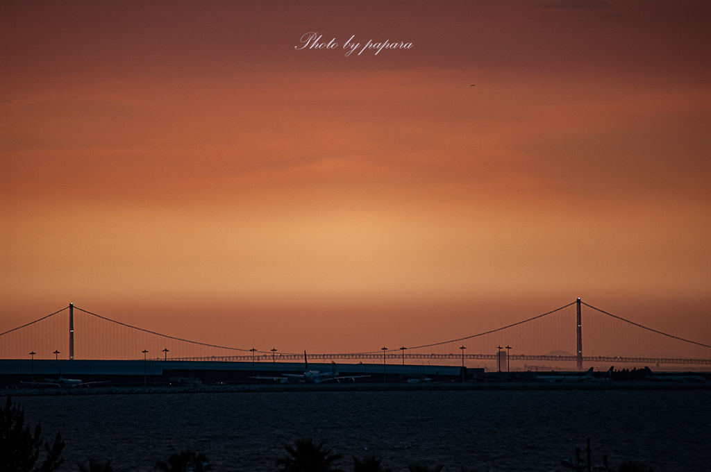 RINKU Sunset_2024177