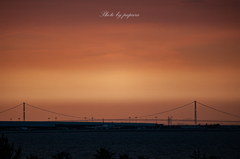 RINKU Sunset_2024177