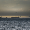 RINKU Sunset_2024266