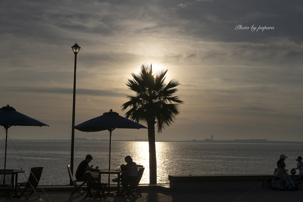 RINKU Sunset_2024221