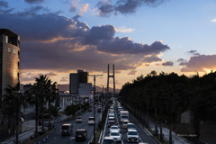 RINKU Sunset_2025028