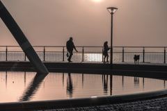 RINKU Sunset_2025074
