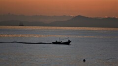 帆船日本丸停泊中