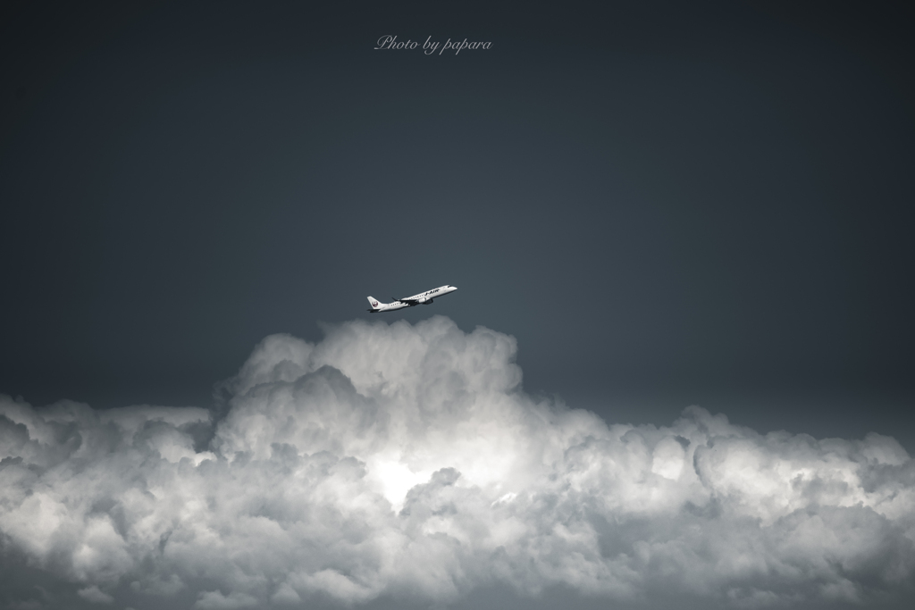 空高く