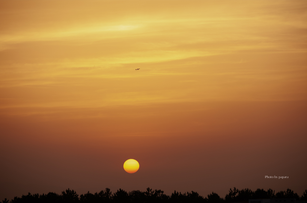RINKU Sunset_2025152