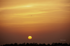 RINKU Sunset_2025152
