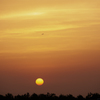 RINKU Sunset_2025152
