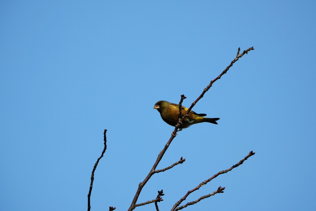 リンクウパークからのお便り_20