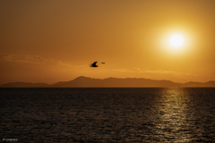 RINKU Sunset_20251019