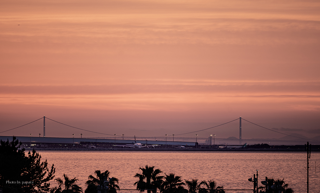 RINKU Sunset_2025155