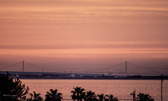 RINKU Sunset_2025155