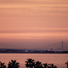 RINKU Sunset_2025155