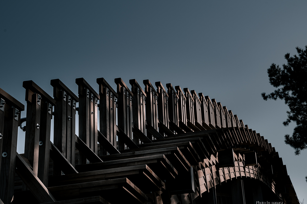 RINKU Sunset_2025100