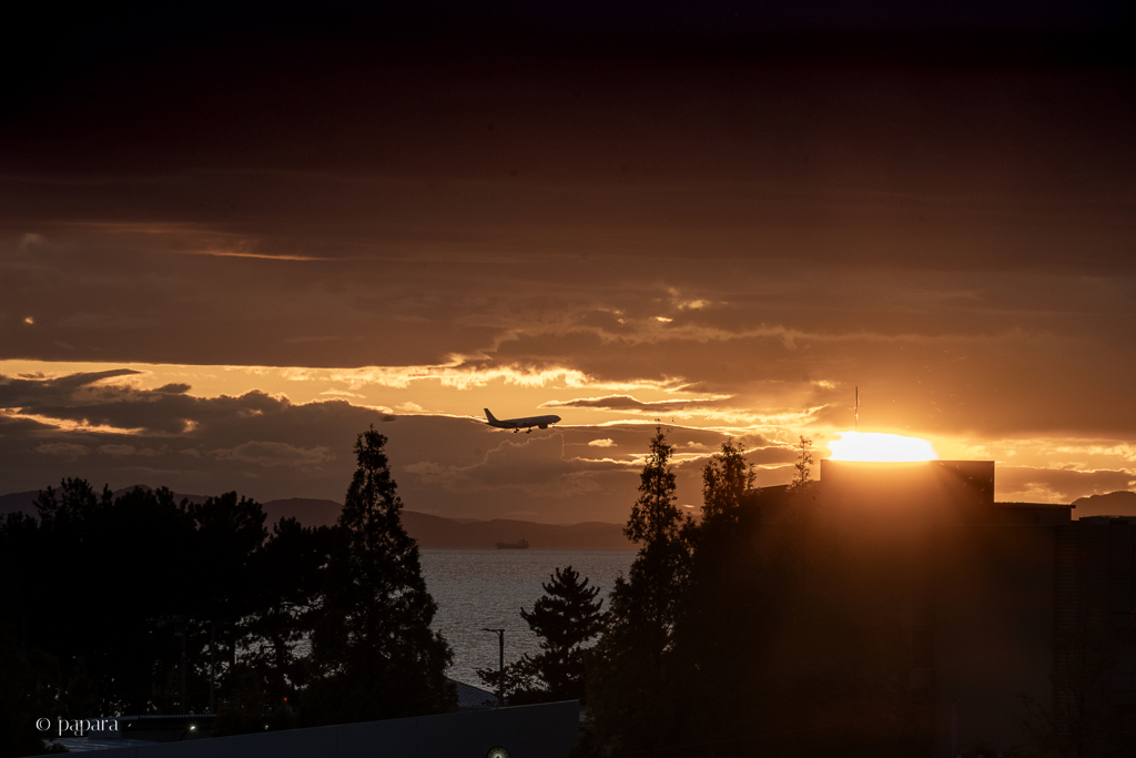 RINKU Sunset_20250912