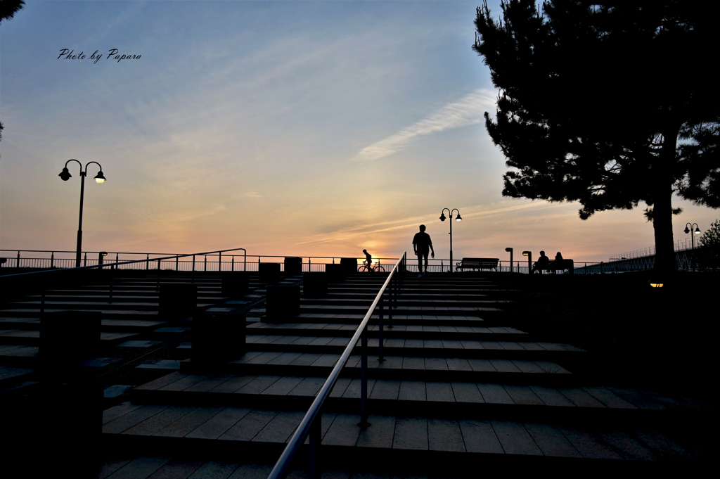 RINKU Sunset_147