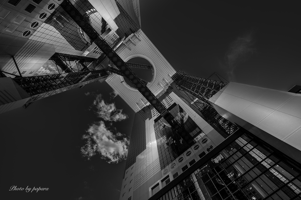 Colourful Black and White_36