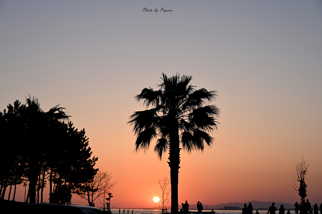 RINKU Sunset_102