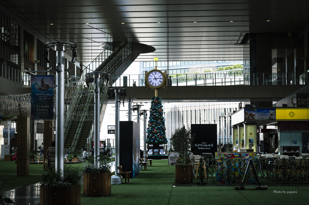 Christmas season_05