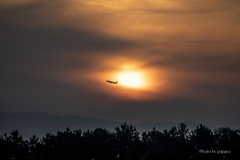 RINKU Sunset_2025148