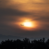 RINKU Sunset_2025148