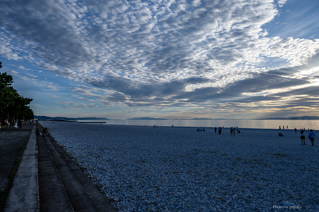 RINKU Sunset_2025178