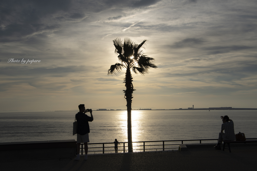 RINKU Sunset_2024227