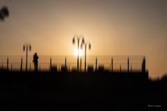 RINKU Sunset_2025078