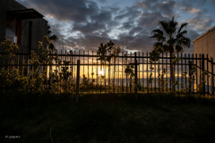 RINKU Sunset_20251118