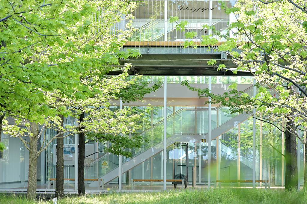 walking course_74