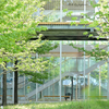 walking course_74