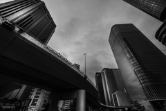 Colourful Black and White_35