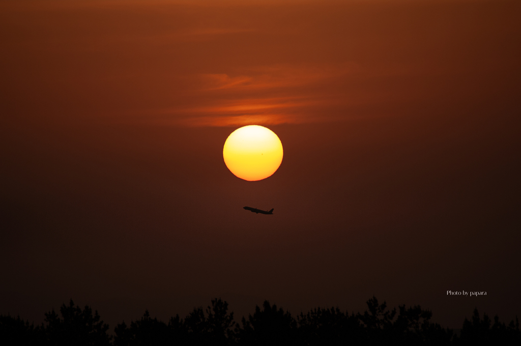 RINKU Sunset_2025150
