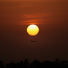 RINKU Sunset_2025150