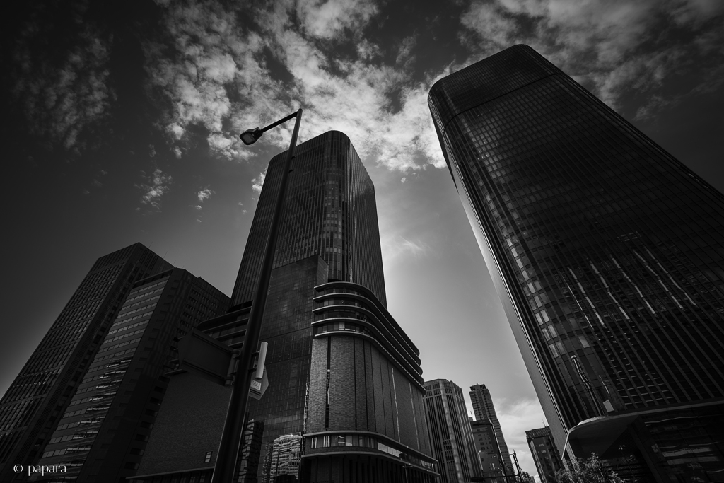 Colourful Black and White_33