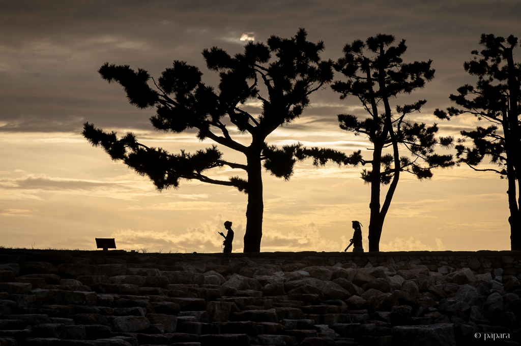 RINKU Sunset_20251008