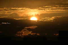 RINKU Sunset_241