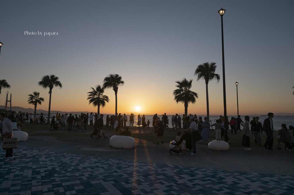 RINKU Sunset_2024325