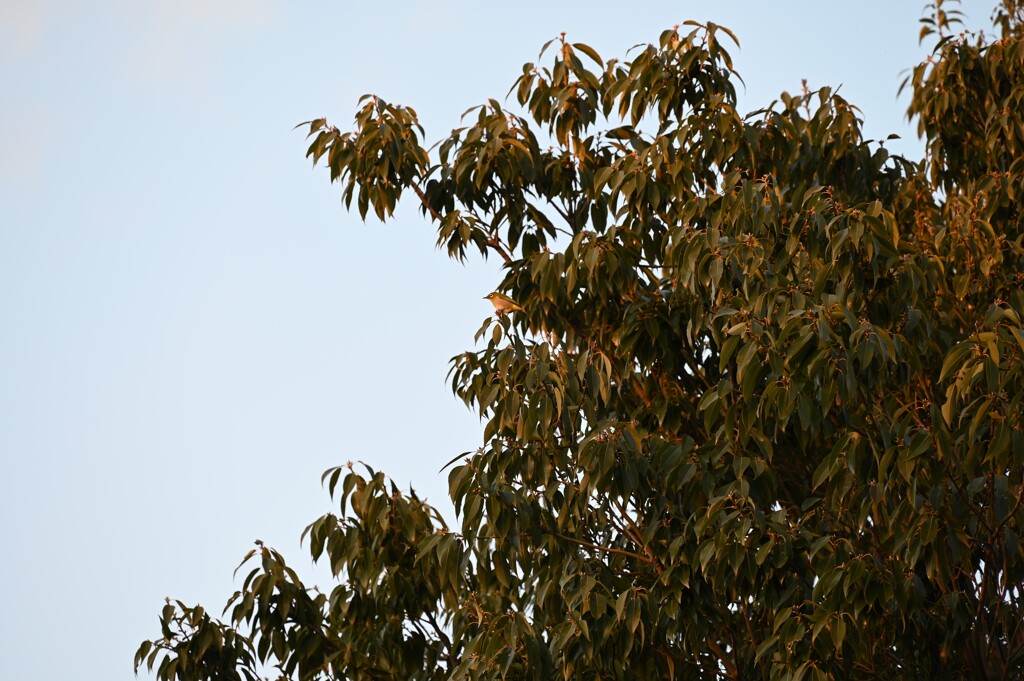 リンクウパークからのお便り_13