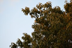 リンクウパークからのお便り_13