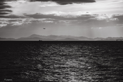 RINKU Sunset_20251014