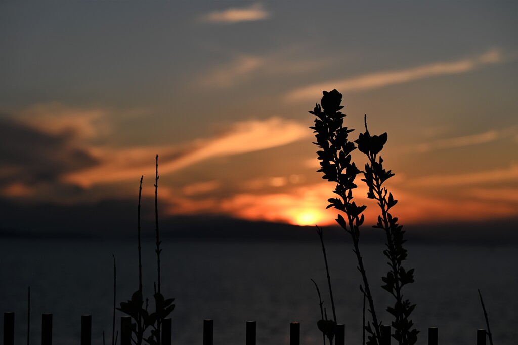 明日も素晴らしい夕景を期待しているよヽ(^0^)ノ