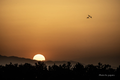 RINKU Sunset_2025147