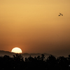 RINKU Sunset_2025147