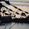 リンクウシーサイドからのお便り_15