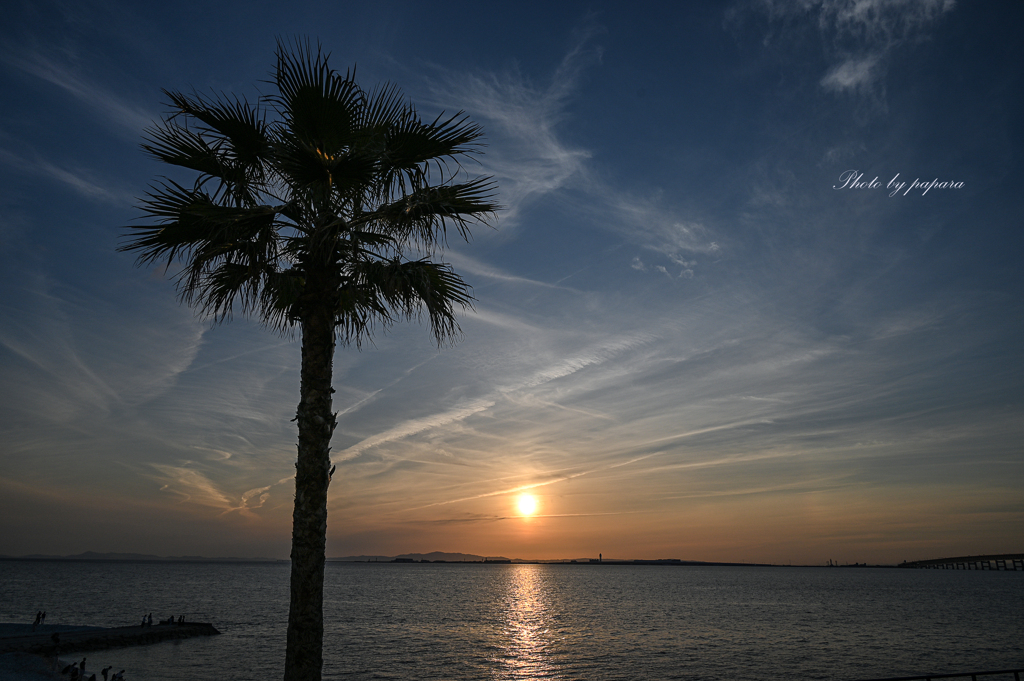 RINKU Sunset_2024173