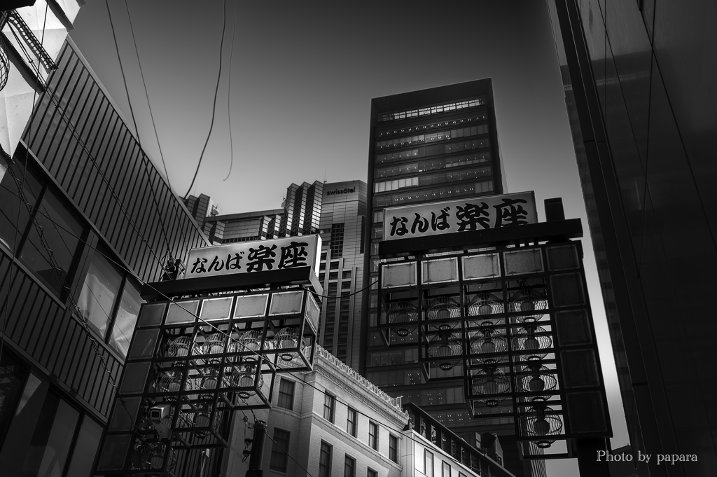 Colourful Black and White_25