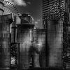 Colourful Black and White_02
