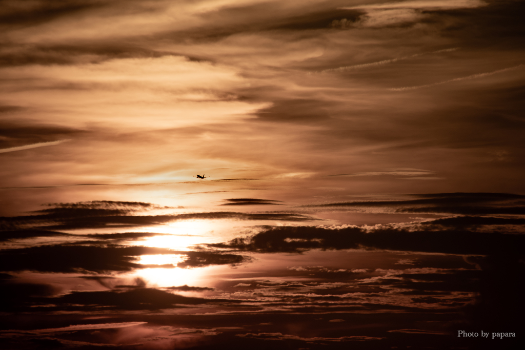 RINKU Sunset_20250919
