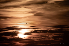 RINKU Sunset_20250919