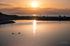 RINKU Sunset_2025029